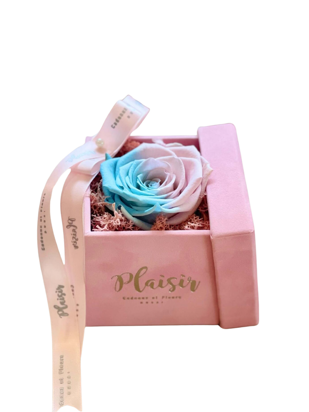 Forever Rose Infinity - Single Candylane on Pink