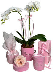 Giftset - Mini Orchids, Chocolates, Diffuser & Candle