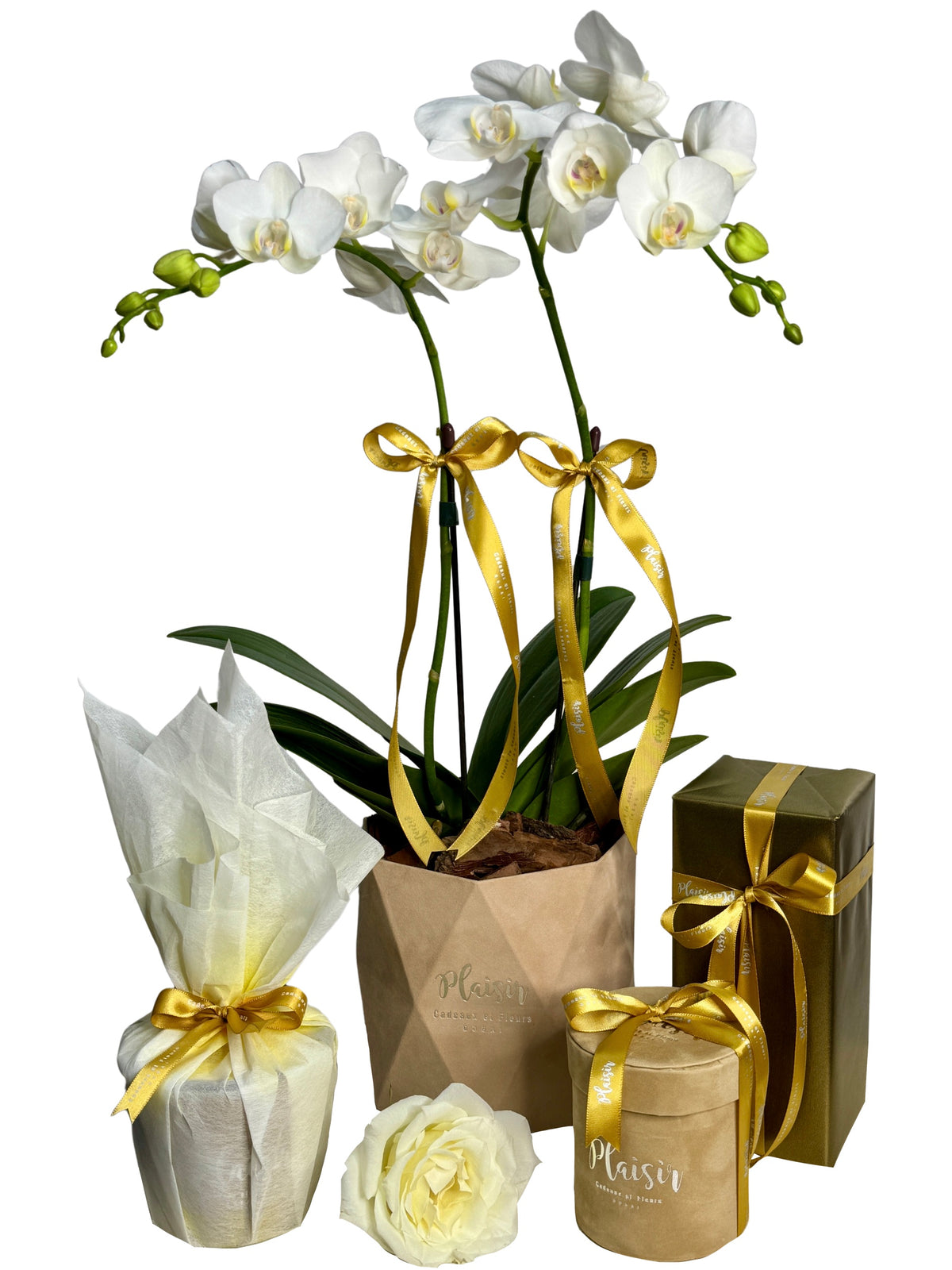 Giftset - Mini Orchids, Chocolates, Diffuser & Candle