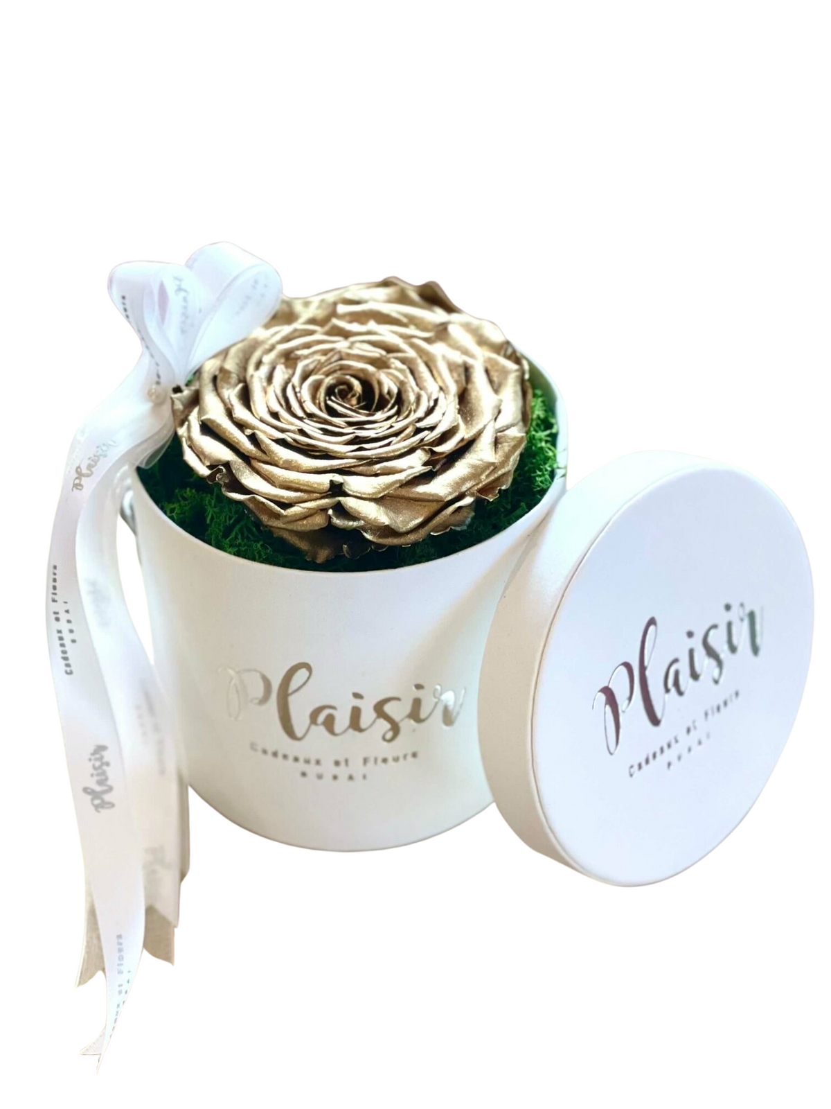 Forever Rose Infinity - Single XL Gold on White