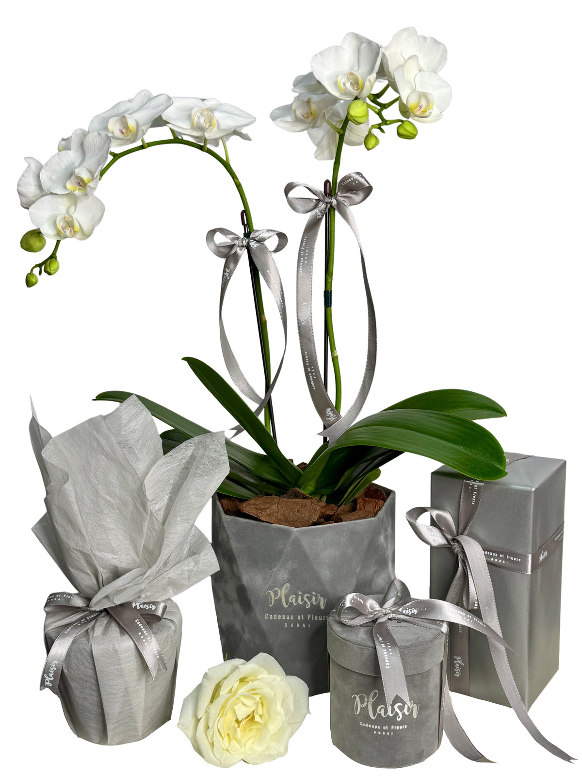 Giftset - Mini Orchids, Chocolates, Diffuser & Candle