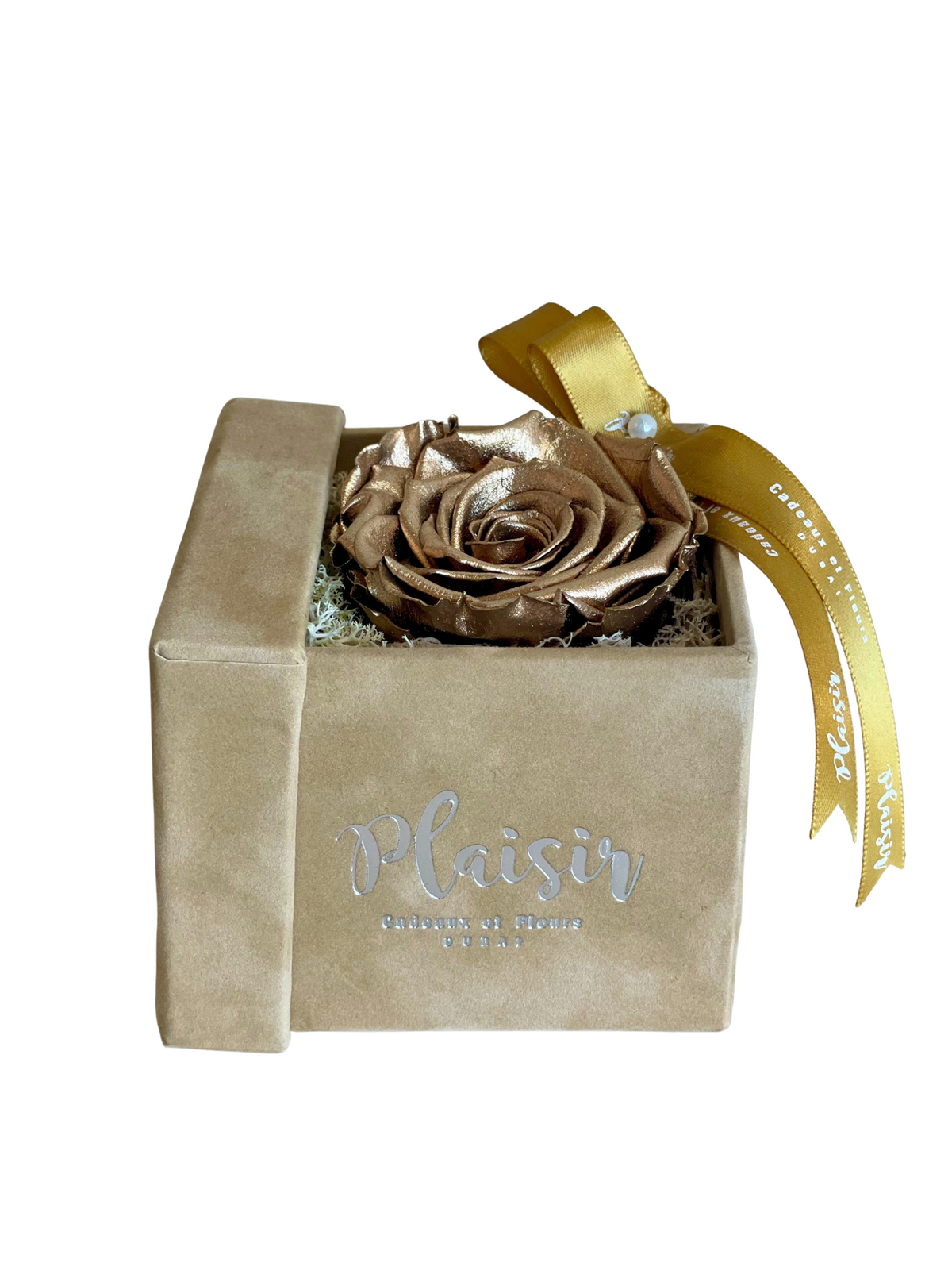 Forever Rose Infinity - Single Gold on Tan