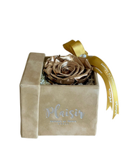 Forever Rose Infinity - Single Gold on Tan