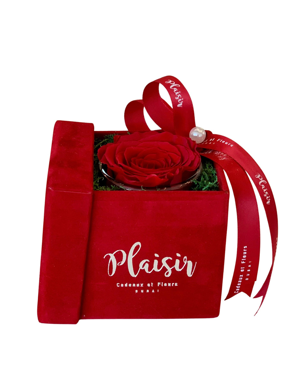 Forever Rose Infinity - Single Red on Red