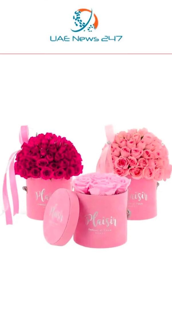 UAE News 24 | Plaisir Cadeaux et Fleurs | Dubai Flower Shop