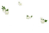 زهرة التسليم في دبي | محل دبي للزهور | محل زهور دبي