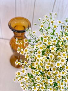 Hand tied Camomile