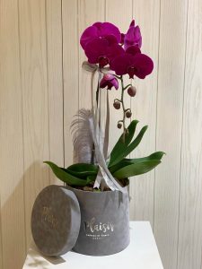 Single Note Grey Box Purple Orchid