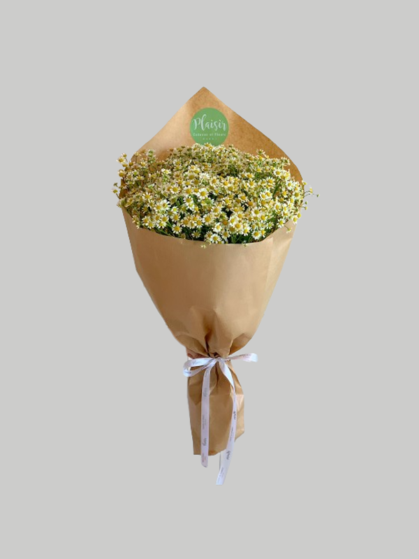 Hand tied – Camomile Bouquet