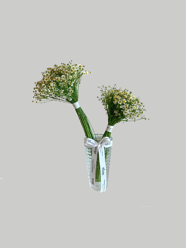 Criss_Cut_Vase_with_White_Chamomile